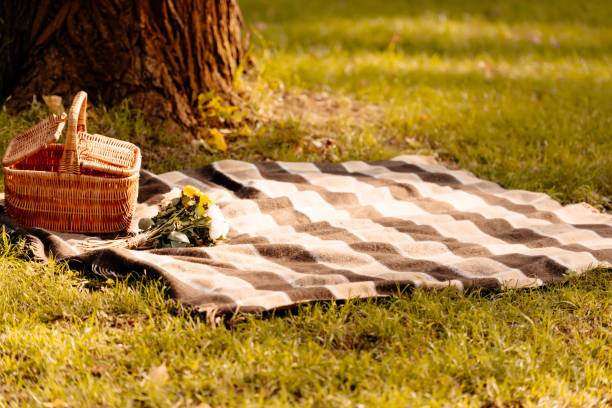 Picnic Blanket