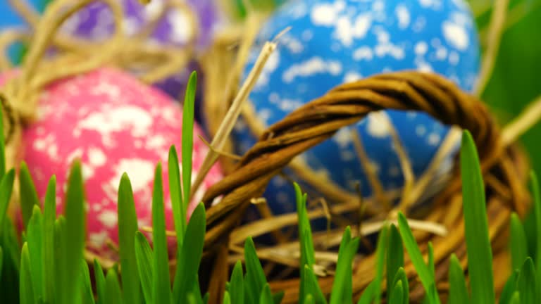 A Beginner Guide to Easter Basket Grass Options