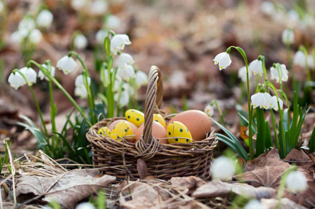 7 Easter Basket Ideas for Your Sister