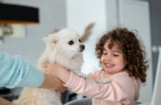 Best Gifts for Dog Owners Who Love Their Pets Like Family